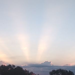 Meet your Posher, Jo ann